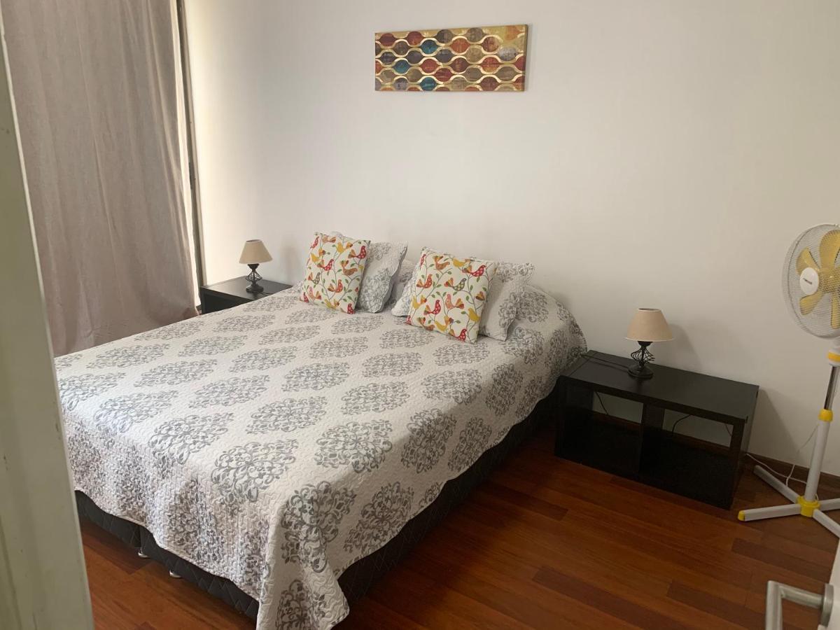 Departamento Amoblado Providencia Daire Santiago Dış mekan fotoğraf