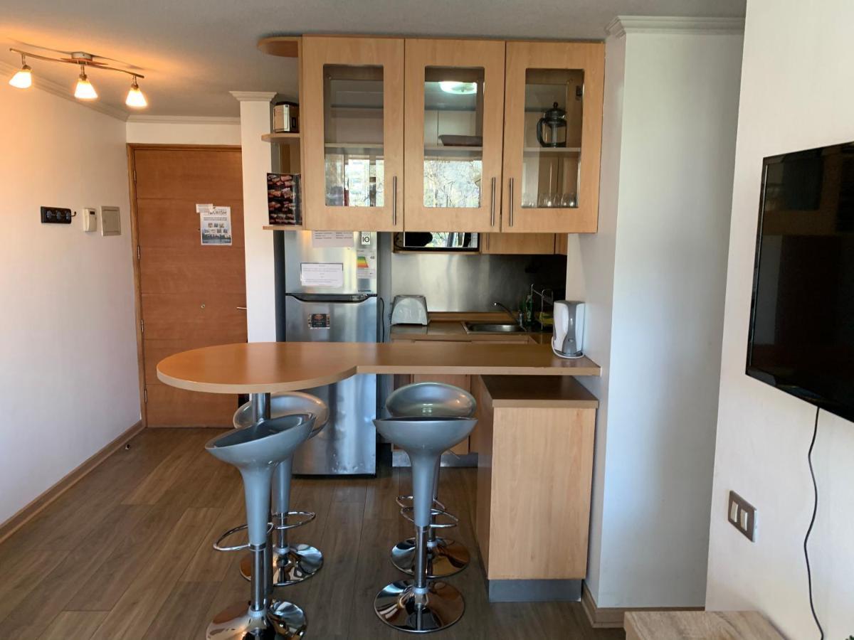 Departamento Amoblado Providencia Daire Santiago Dış mekan fotoğraf